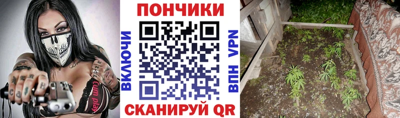 Купить закладку Амфетамин Меф мяу мяу ГАШ Конопля Альфа ПВП Гусев