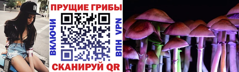 Галлюциногенные грибы прущие грибы  Купить закладки  Гусев 